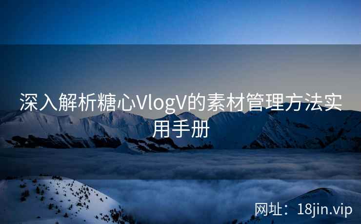 深入解析糖心VlogV的素材管理方法实用手册