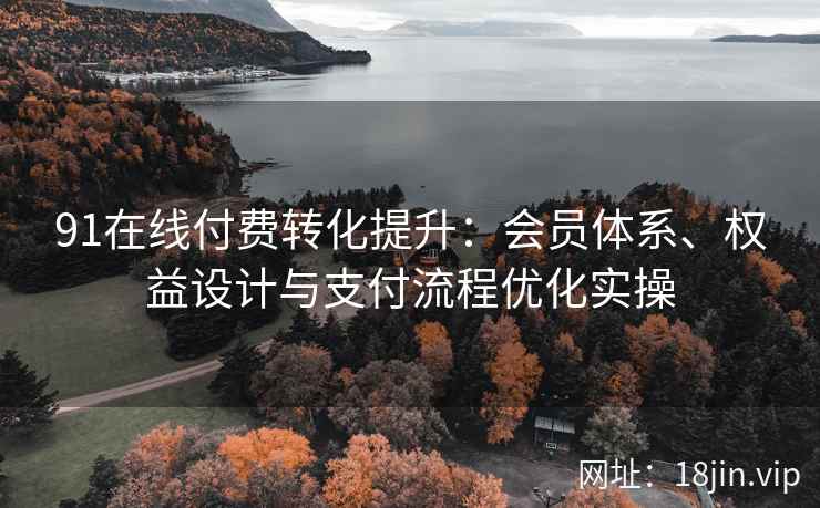 91在线付费转化提升：会员体系、权益设计与支付流程优化实操