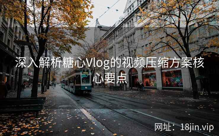 深入解析糖心Vlog的视频压缩方案核心要点