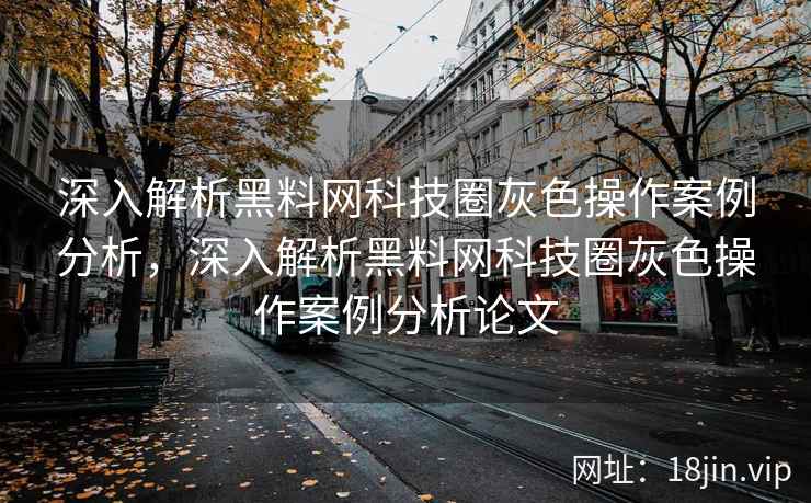 深入解析黑料网科技圈灰色操作案例分析，深入解析黑料网科技圈灰色操作案例分析论文